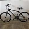 Image 1 : GREY ARASHI BIKE