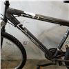 Image 2 : GREY ARASHI BIKE