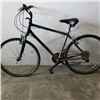 Image 1 : BROWN GIANT BIKE