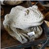 Image 1 : CONCRETE FROG GARDEN DECOR