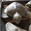 Image 2 : CONCRETE PAINTED TURTLE