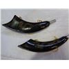 Image 1 : 2 EASTERN SCRIMSHAW HORNS
