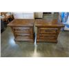 Image 1 : PAIR OF 2 DRAWER NIGHTSTANDS