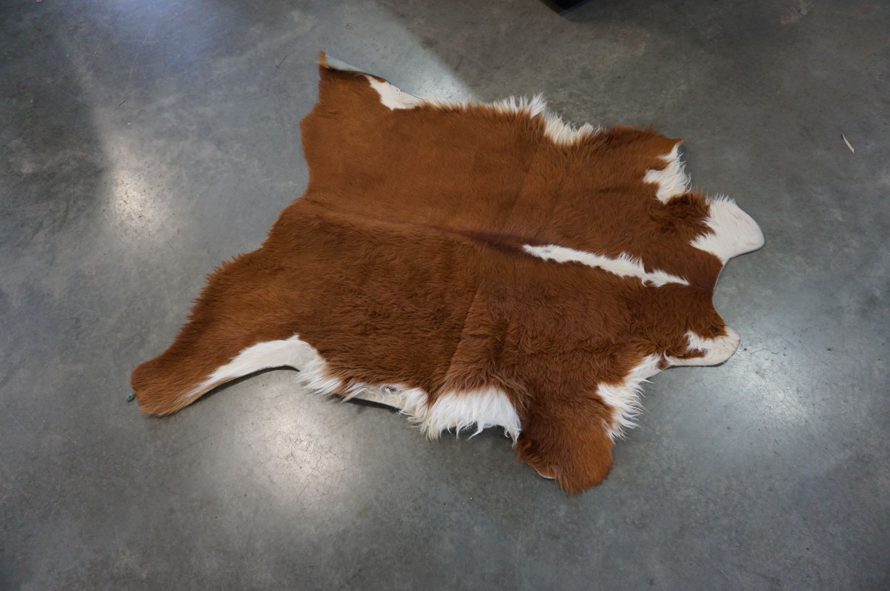 ANIMAL HIDE - Big Valley Auction