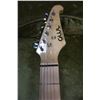 Image 2 : GEORGE WASHBURN ELECTRIC GUITAR