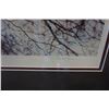 Image 2 : EARLY BIRD BY GEORGE MACLEAN LEP SIGNED