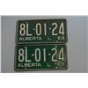 Image 1 : Vintage License Plates
