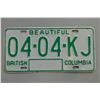 Image 1 : Vintage License Plates