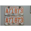 Image 1 : Vintage License Plates