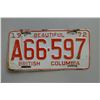 Image 1 : Vintage License Plates