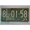 Image 1 : Vintage License Plates