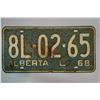 Image 1 : Vintage License Plates