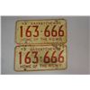 Image 1 : Vintage License Plates