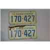 Image 1 : Vintage License Plates