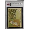 Image 1 : 1959 Fleer Ted Williams - (Graded)