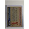 Image 2 : 1959 Fleer Ted Williams - (Raw)