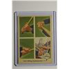 Image 1 : 1959 Fleer Ted Williams - (Raw)