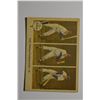 Image 1 : 1959 Fleer Ted Williams - (Raw)