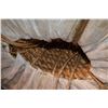 Image 2 : Huge bundle of 5/8 Rope