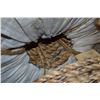 Image 2 : Huge bundle of 5/8 Rope
