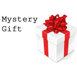 Mystery Gift Valued a Minimum of 100 Dollrs