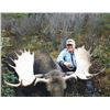 Image 2 : Canada Moose Hunt with Stone Mountain Safaris