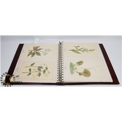 ALBUM WITH 64 LITHOGRAPHED BOTANICAL PLATES FROM