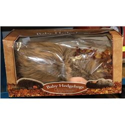 ANNE GEDDES BABY HEDGE HOG