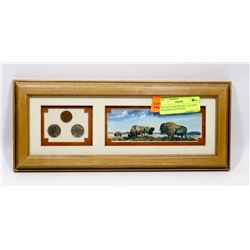 US BUFFALO FRAMED COINS