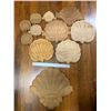Image 1 : Wood Shell Carvings: 11 Shell Carvings, Various Sizes from Various Woods