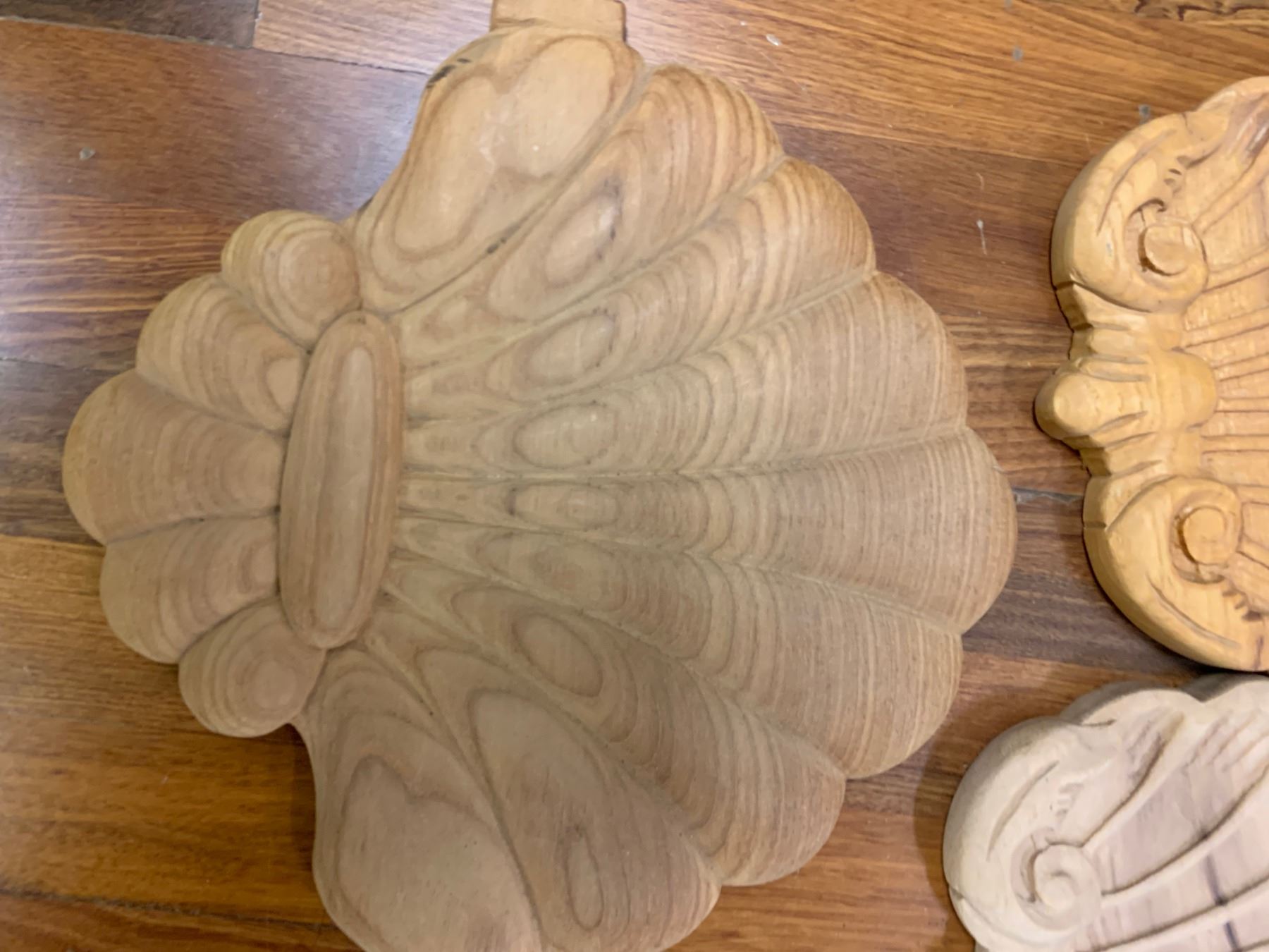 Wood Shell Carvings: 11 Shell Carvings, Various Sizes from Various Woods