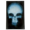 Image 3 : Lot # 227: Frank Castle's Head X-Ray