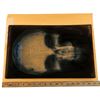 Image 7 : Lot # 227: Frank Castle's Head X-Ray