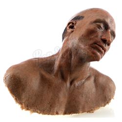 Lot # 520: SFX Bloodied Makeup Bust