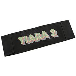 Lot # 647: Tilda Johnson's 'TJ' Initials Production Chairback