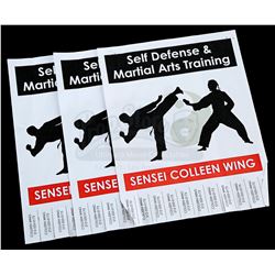 Lot # 669: Set of Three Flyers For Colleen Wing's Dojo