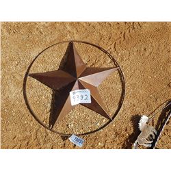 10' METAL STAR (C-6)
