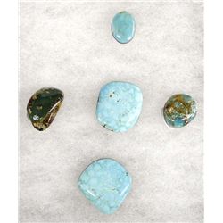 5 Turquoise Cabochons from Royston & Evans Mines