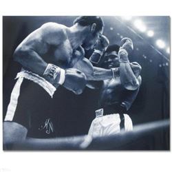 Licensed Photograph of the Heavyweight Champs Muhammad Ali and Ken Norton.