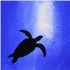 Image 2 : Wyland, "Turtle" Framed Original Watercolor Painting, Hand Signed with Certificate of Authenticity.