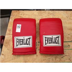 Everlast sparring gloves