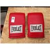 Image 1 : Everlast sparring gloves