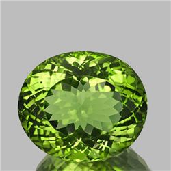 Natural AAA Green Apatite 3.26 Ct (Flawless-VVS1)