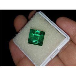 Natural Princess Cut Forest Green Emerald 7.90 Cts