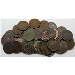 50 CT INDIAN PENNIES MIXES LOT