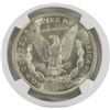 Image 3 : 1921 MORGAN DOLLAR NGC MS62