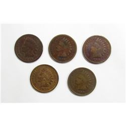 5-INDIAN CENTS GOOD/VG: