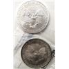 Image 2 : 2004 & 2015 .999 SILVER ONE OUNCE EAGLE