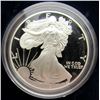 Image 2 : 1995 & 2005 PROOF AMERICAN SILVER EAGLE