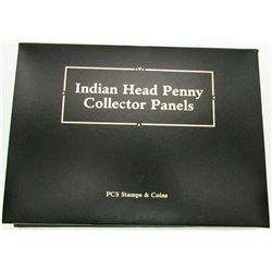 INDIAN HEAD PENNY COLLECTORS PANELS